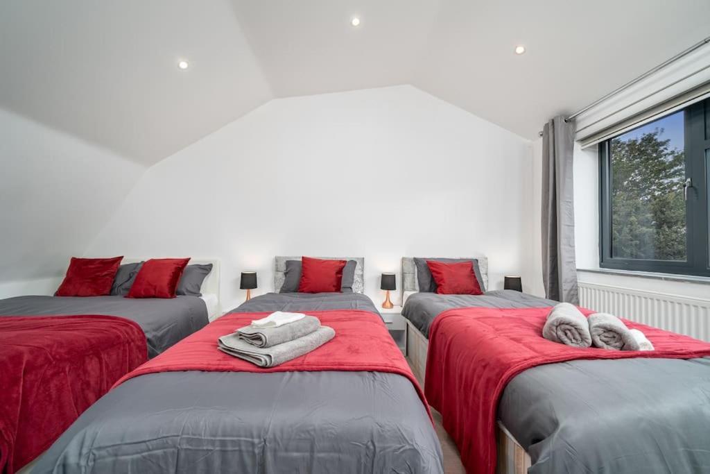 Appartamento Vibrant 3br Tottenham Home, Private Garden Wifi Parking Free On Request Londra
